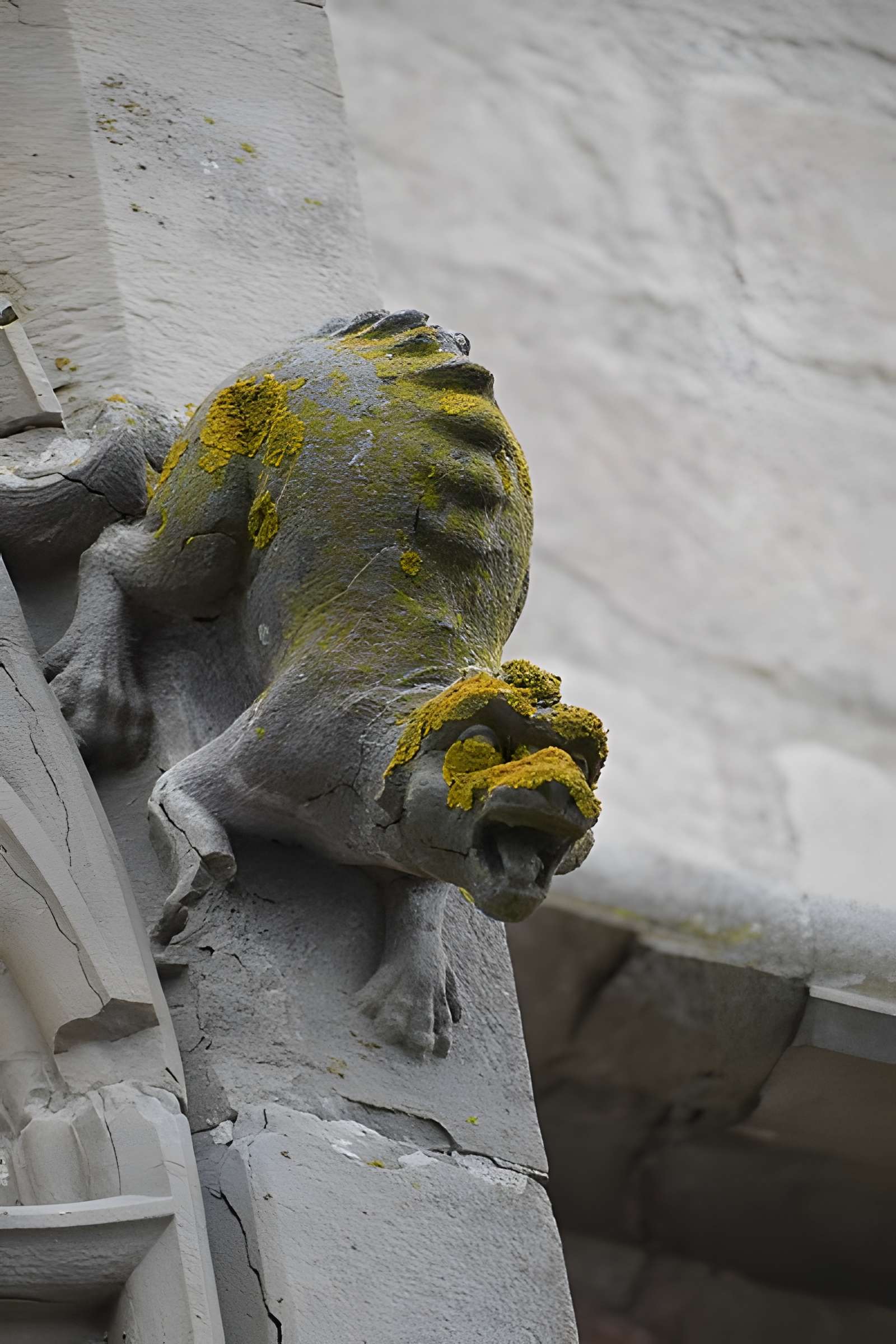Collégiale Saint-Vincent de Montréal