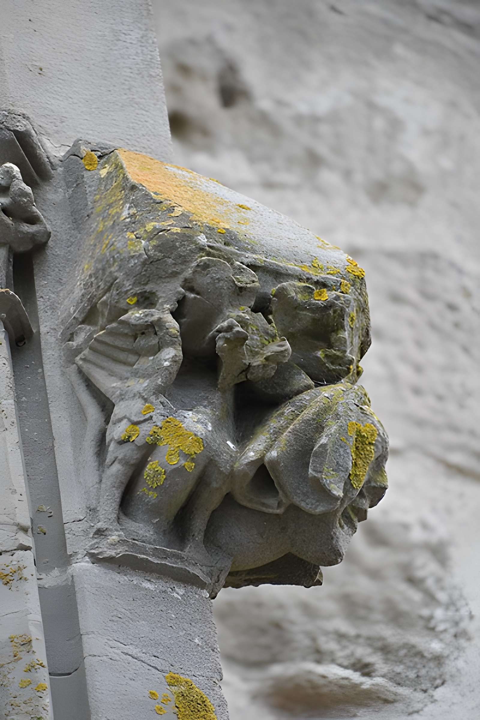 Collégiale Saint-Vincent de Montréal