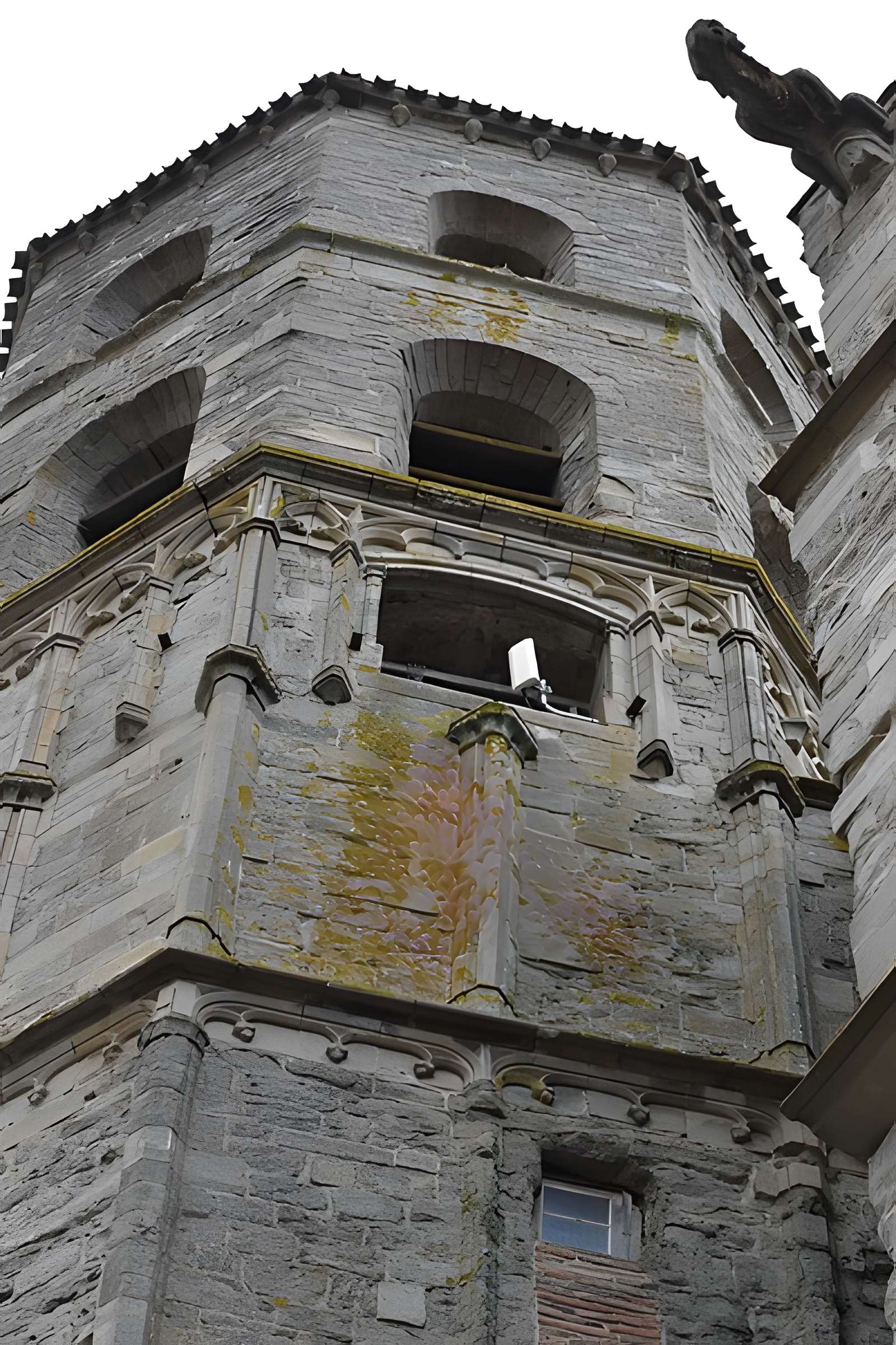 Collégiale Saint-Vincent de Montréal