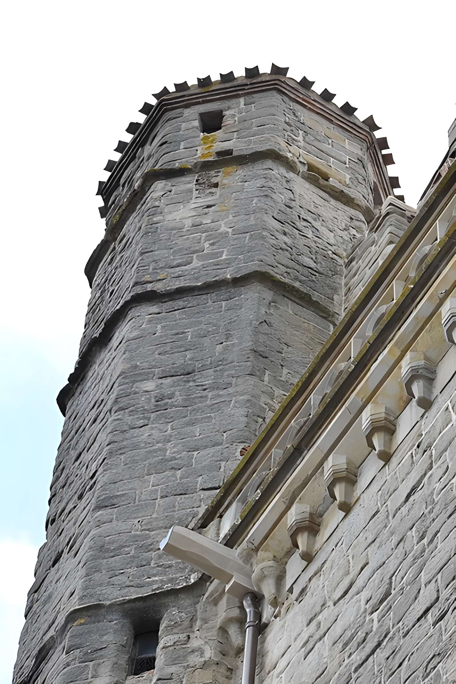 Collégiale Saint-Vincent de Montréal