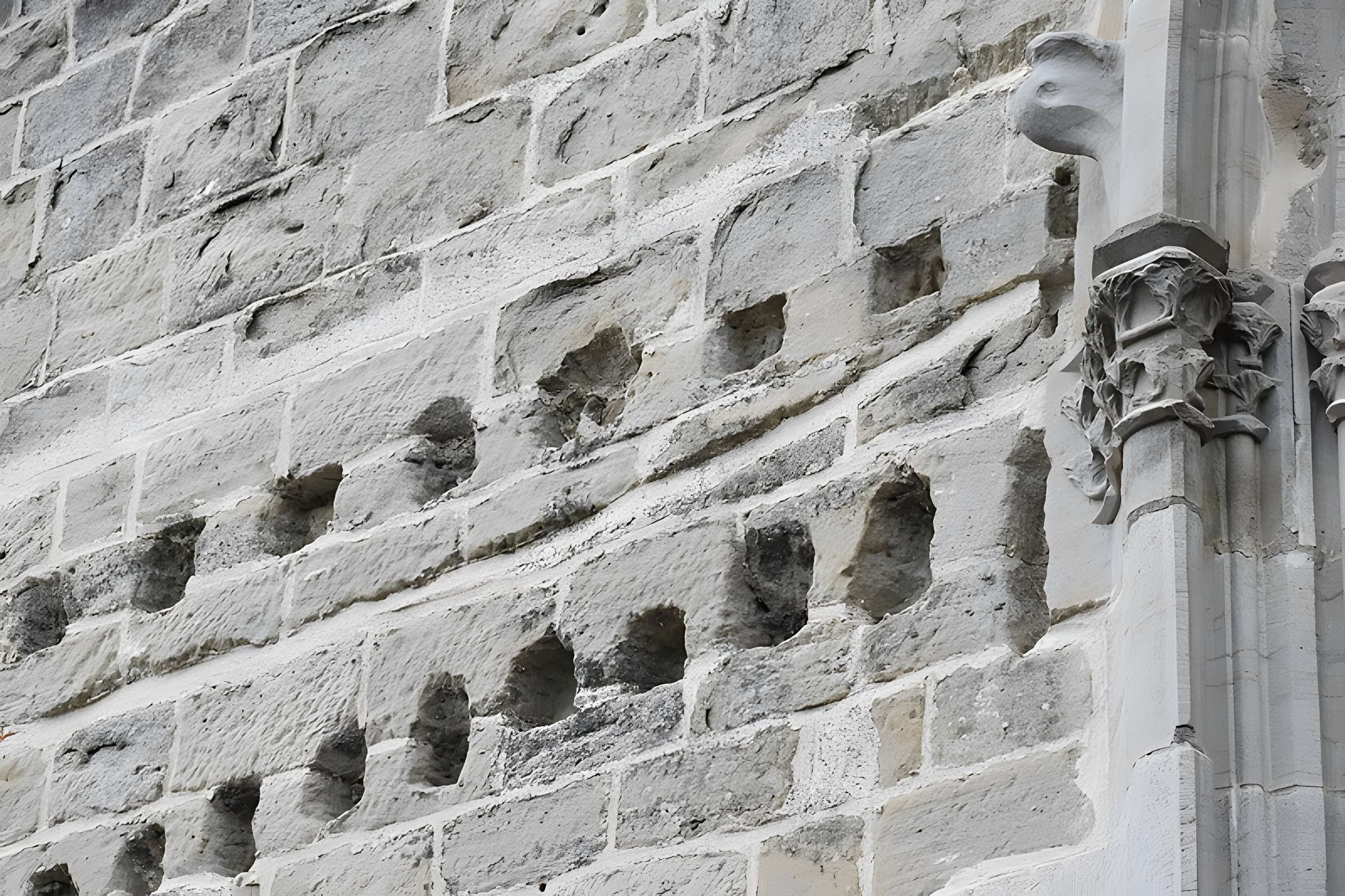 Collégiale Saint-Vincent de Montréal