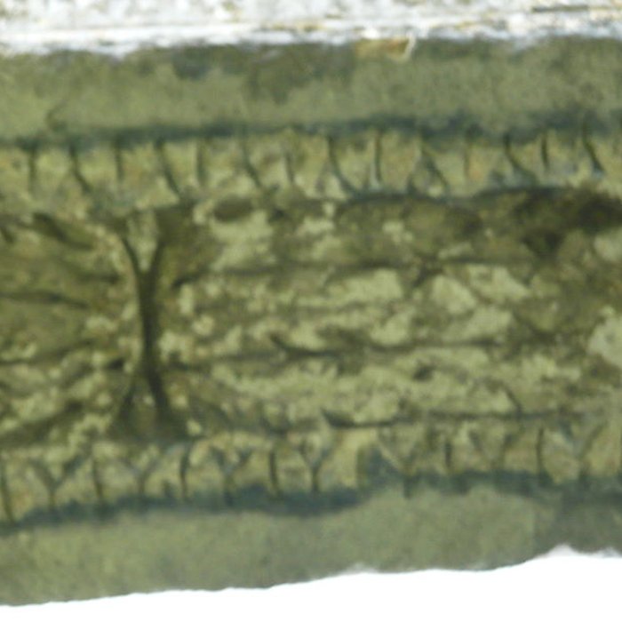 Photo de Colonnes antique de Riez