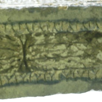 Colonnes antique de Riez