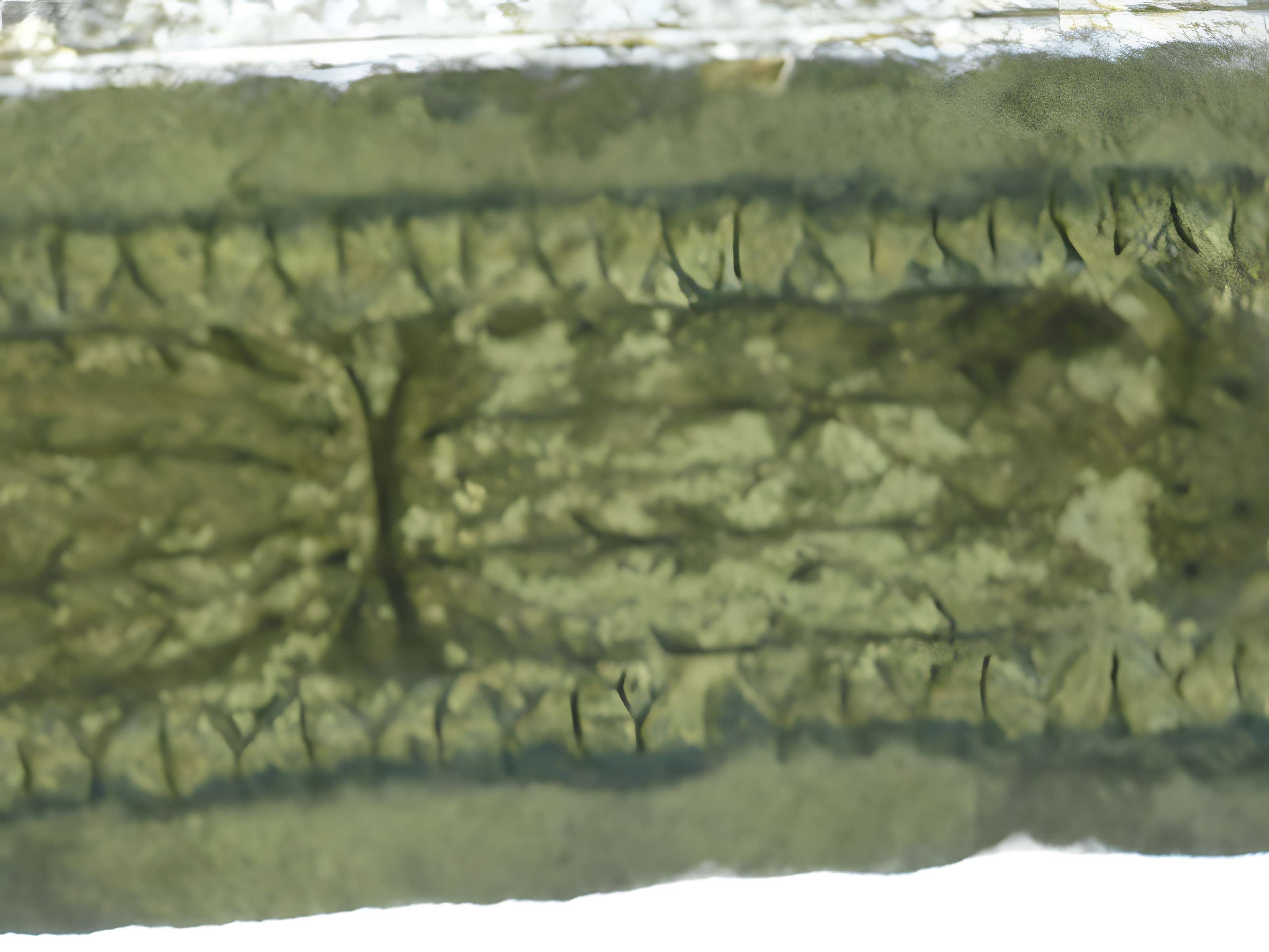 Colonnes antique de Riez