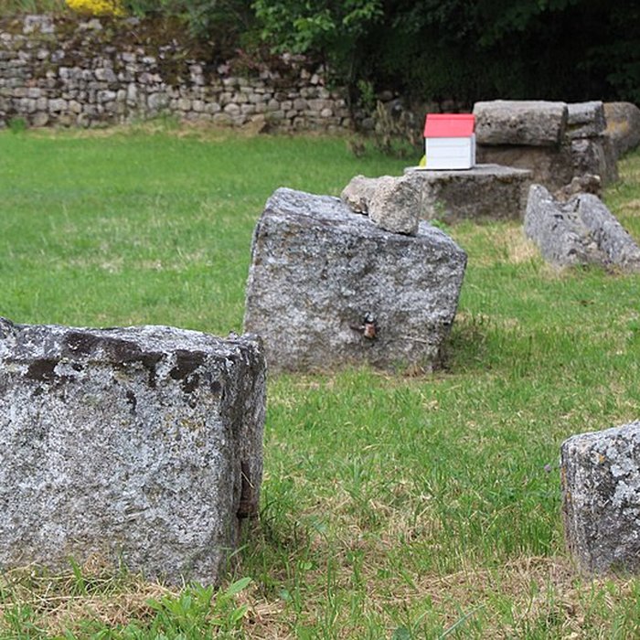 Photo de Anderitum Cité antique de Javols