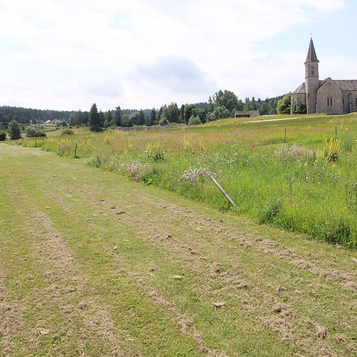 Photo de Anderitum Cité antique de Javols
