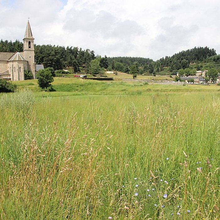 Photo de Anderitum Cité antique de Javols