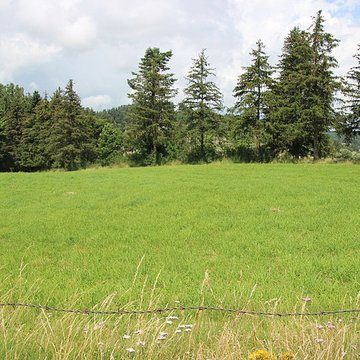 Anderitum Cité antique de Javols