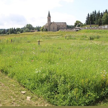 Anderitum Cité antique de Javols