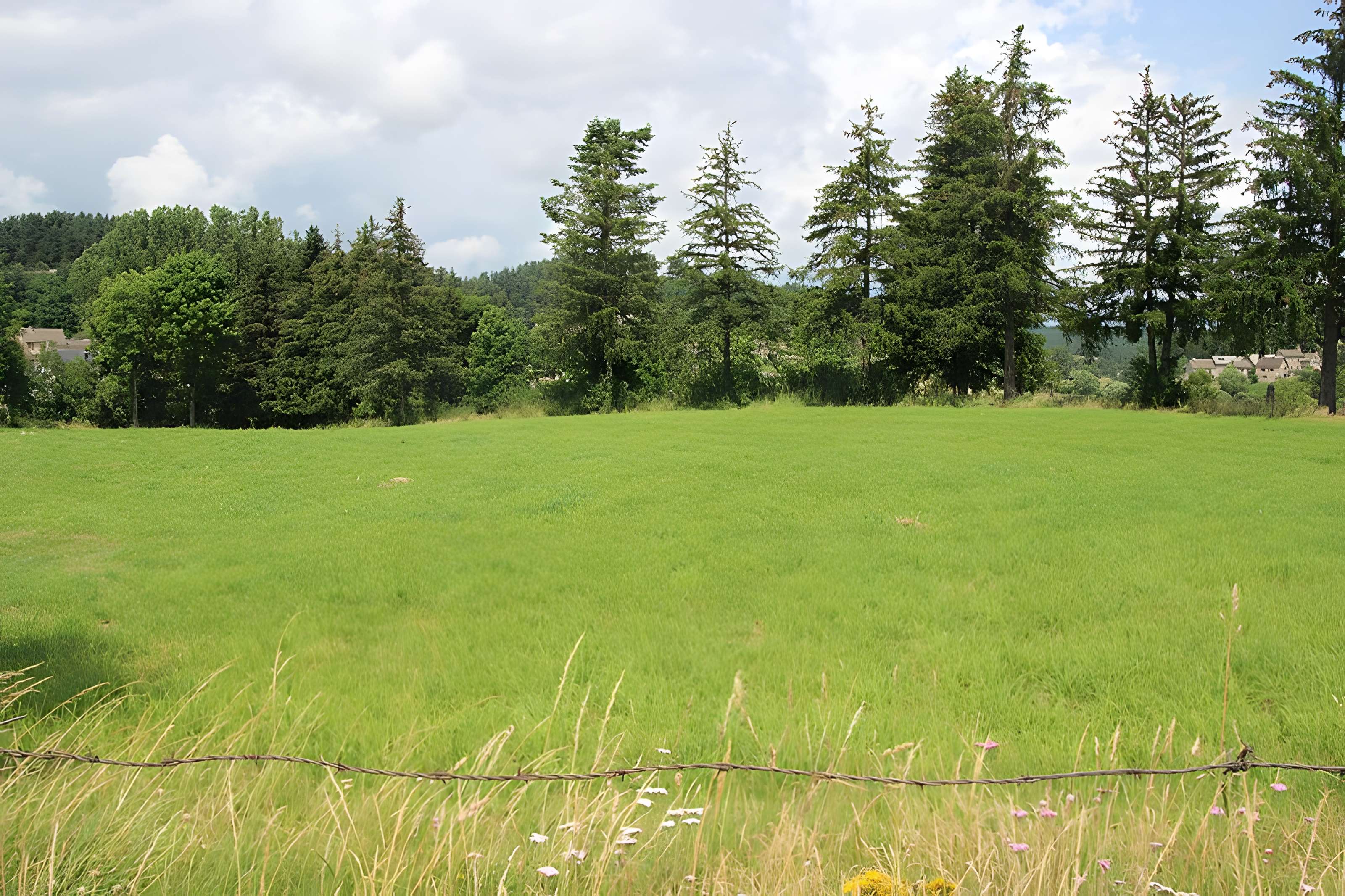 Anderitum Cité antique de Javols