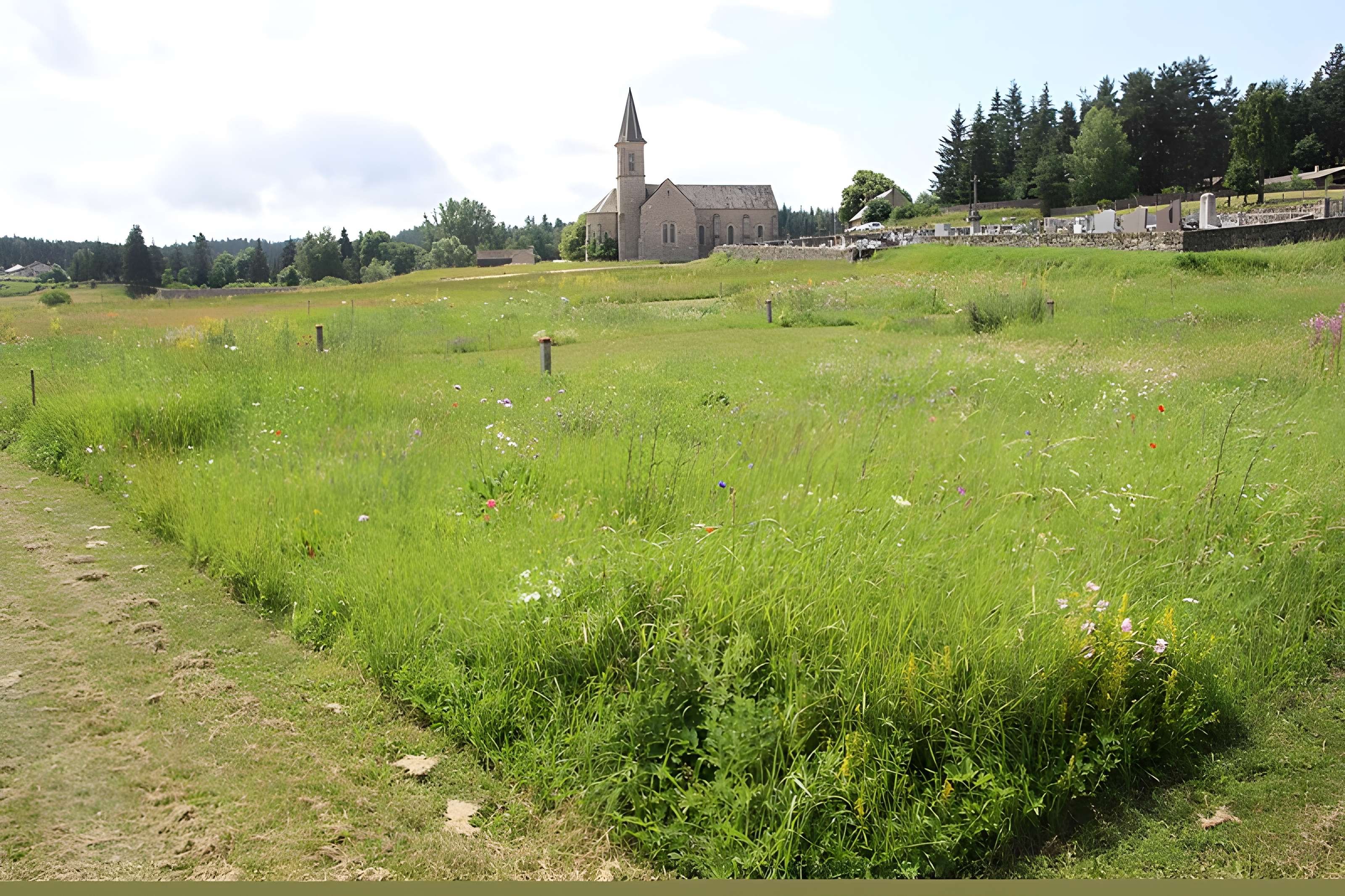 Anderitum Cité antique de Javols