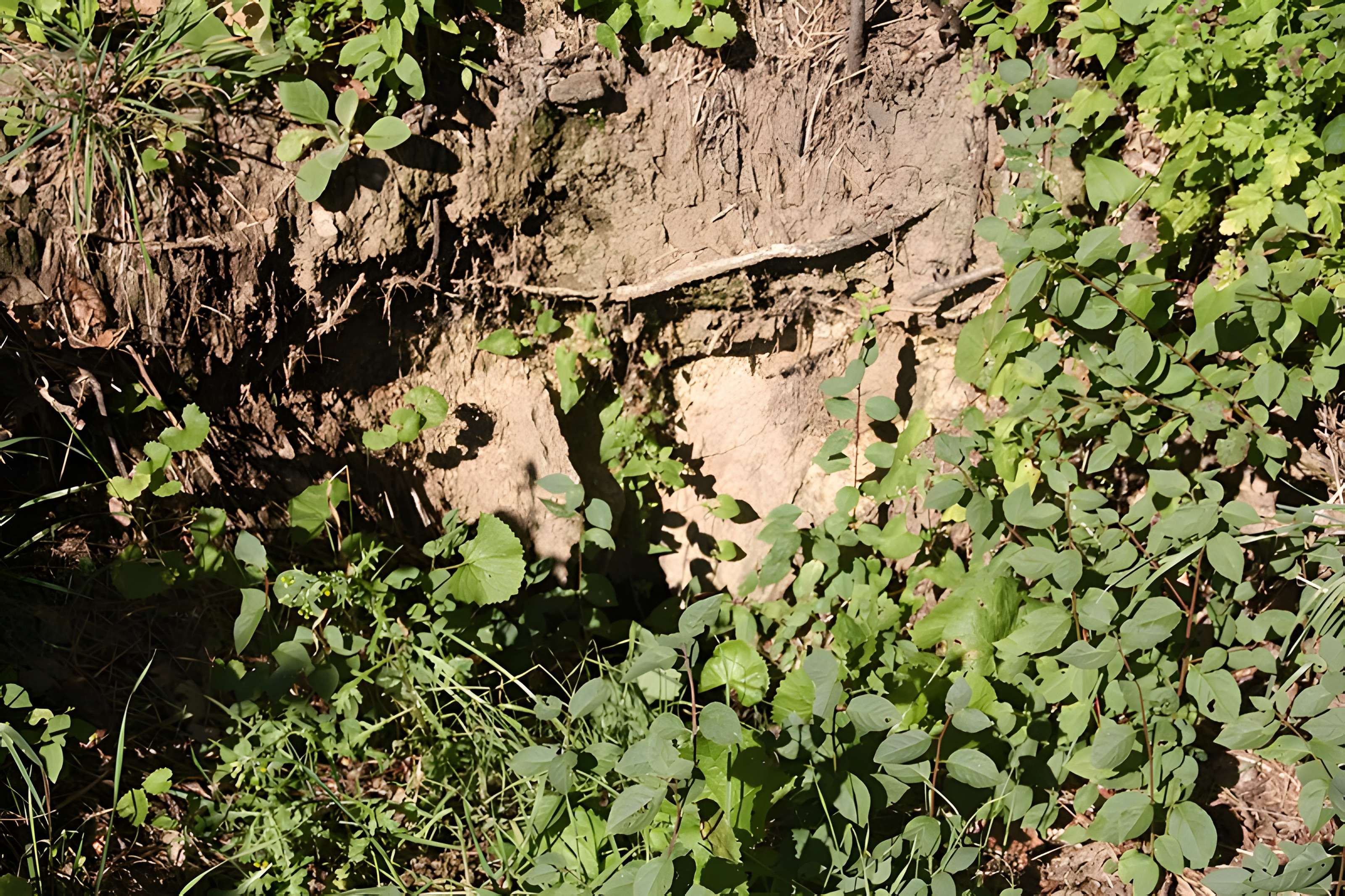 Aqueduc romain du Gier à Chagnon