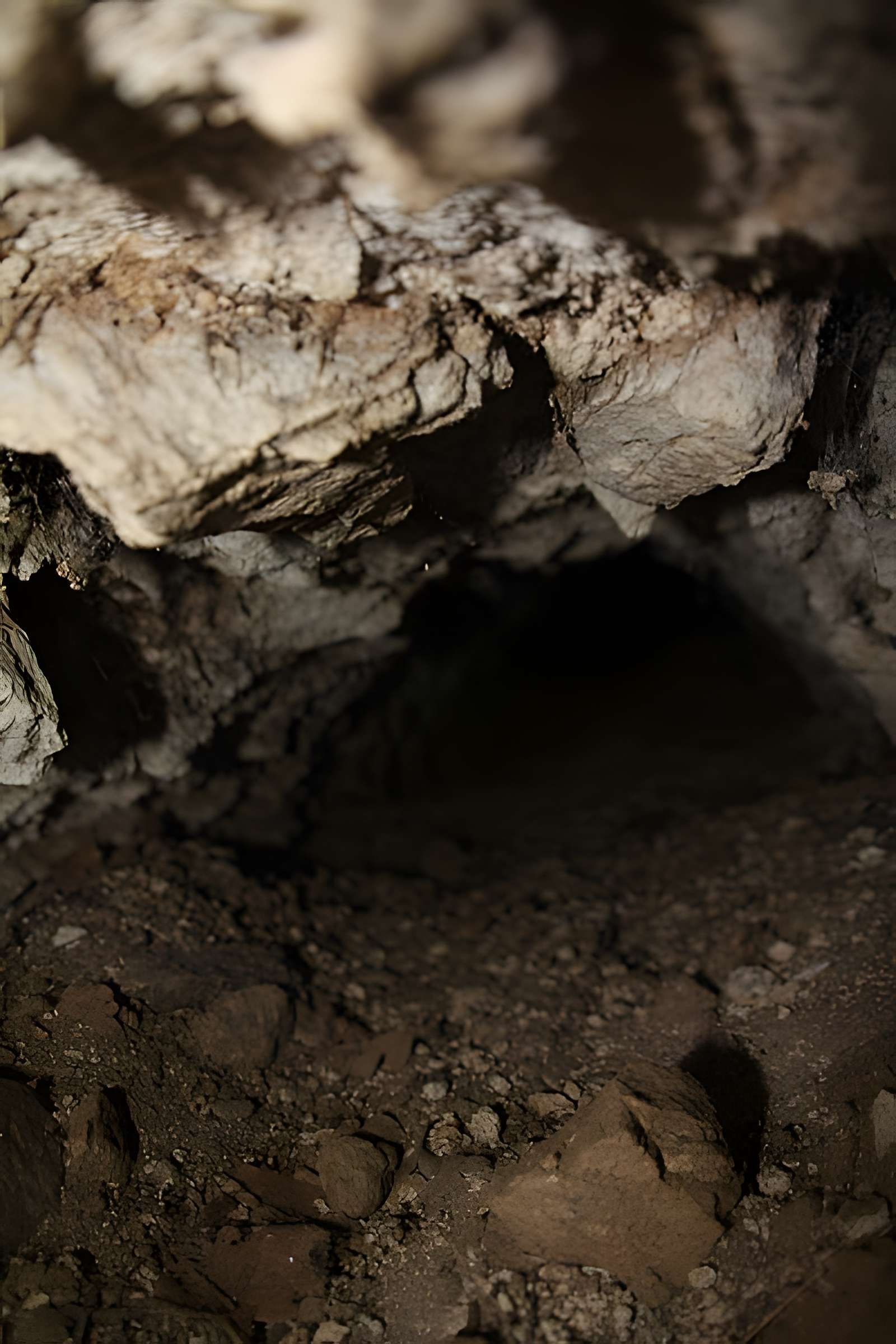 Aqueduc romain du Gier à Chagnon