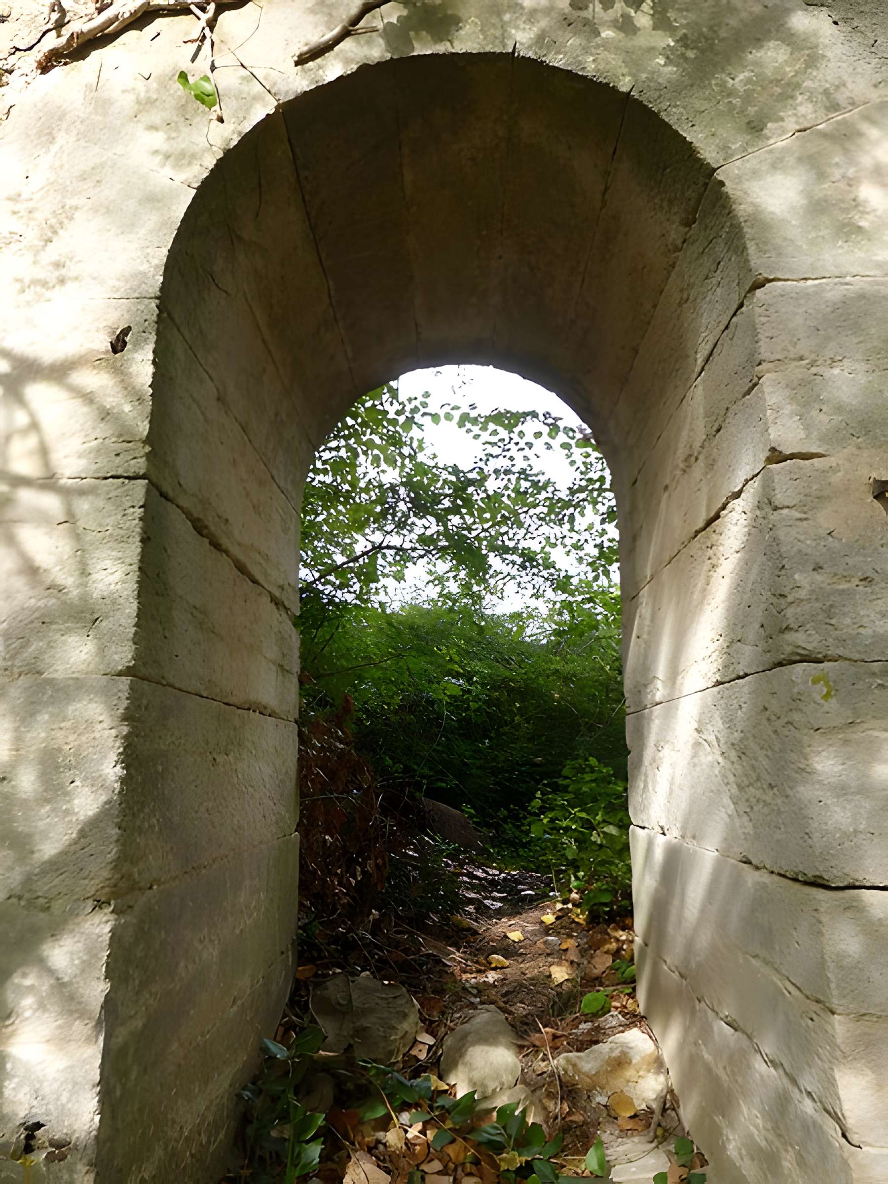 Aqueduc Saint-Clément du Pont-canal à Montferrier-sur-Lez