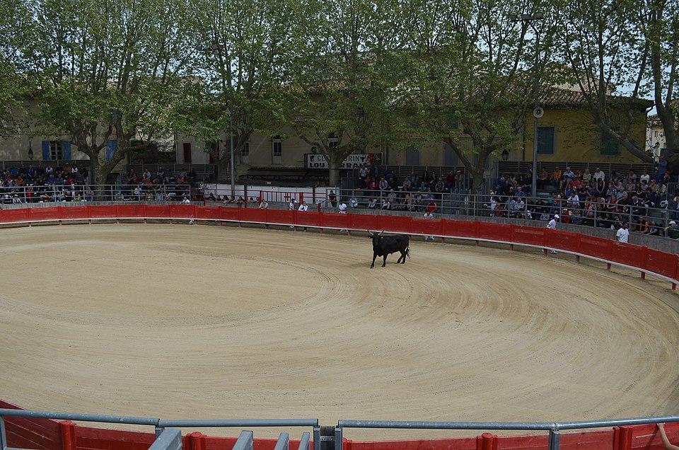Arènes de Saint-Laurent-d'Aigouze