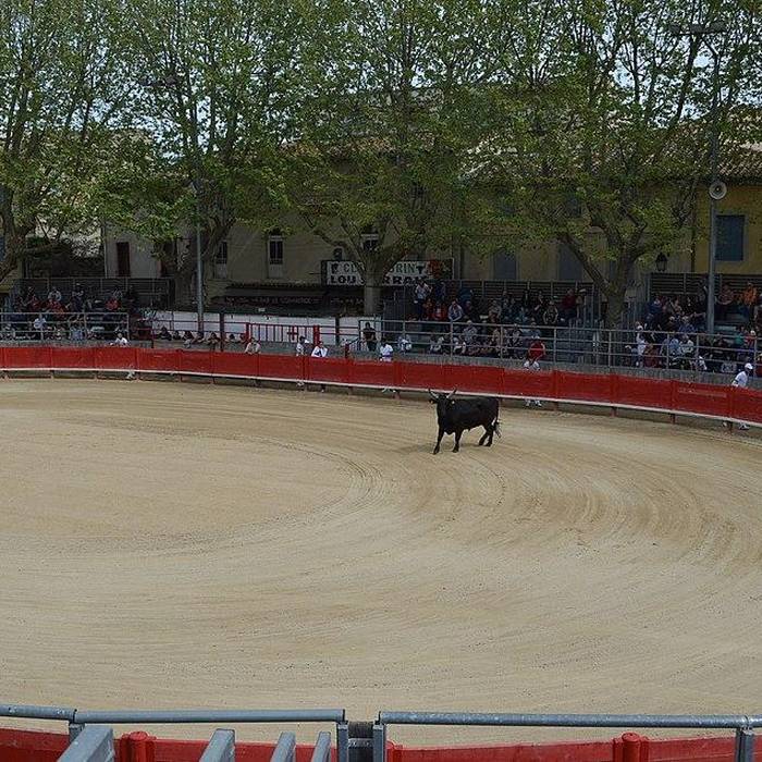 Photo de Arènes de Saint-Laurent-dAigouze