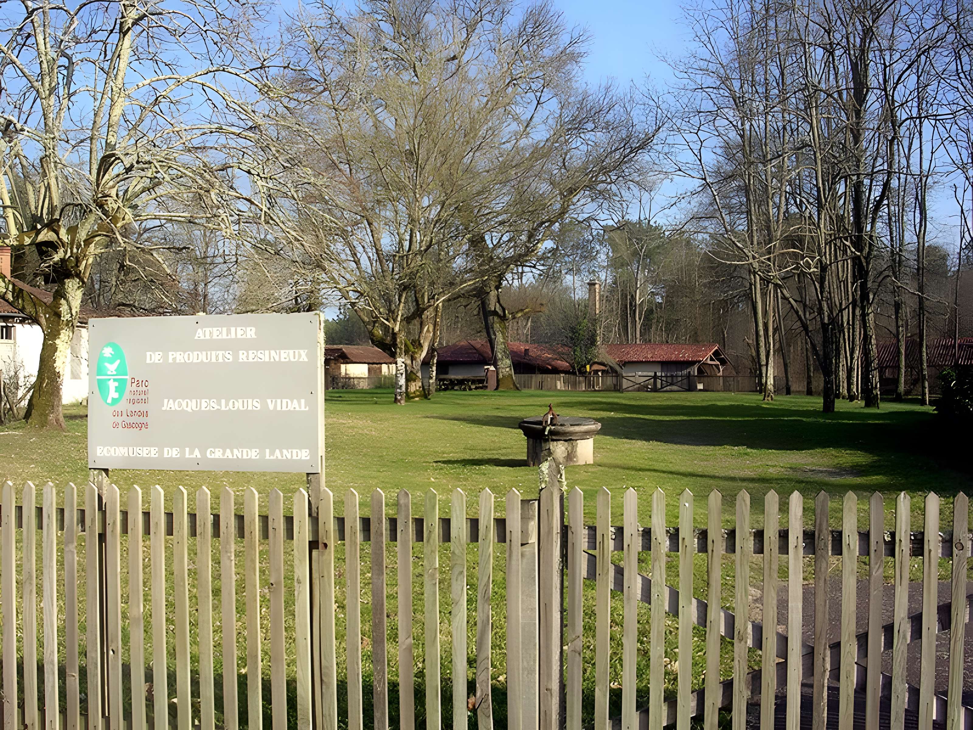 Atelier des produits résineux de Luxey 