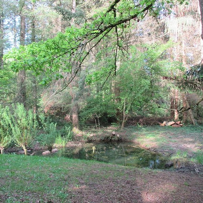 Photo de Baraques du quatorze de La Vieille-Loye