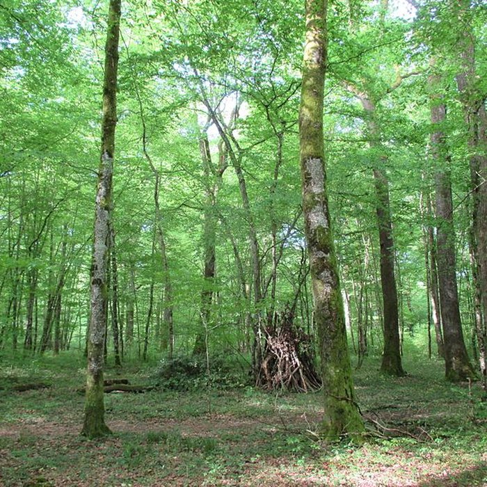 Photo de Baraques du quatorze de La Vieille-Loye