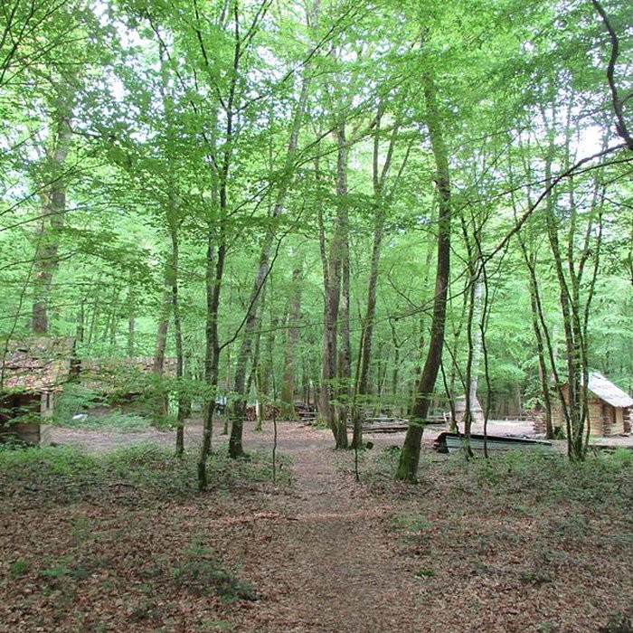 Photo de Baraques du quatorze de La Vieille-Loye