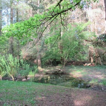 Baraques du quatorze de La Vieille-Loye