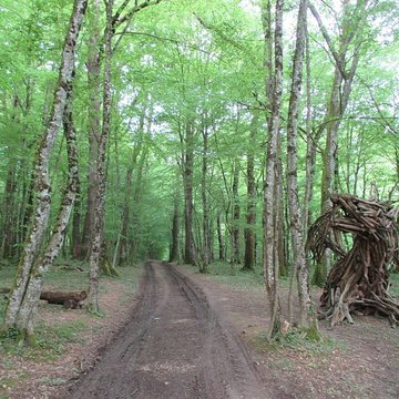 Baraques du quatorze de La Vieille-Loye