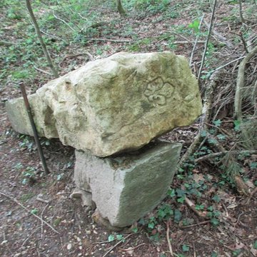Baraques du quatorze de La Vieille-Loye