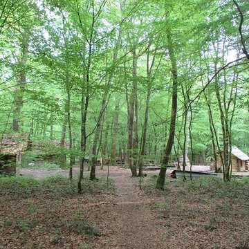 Baraques du quatorze de La Vieille-Loye