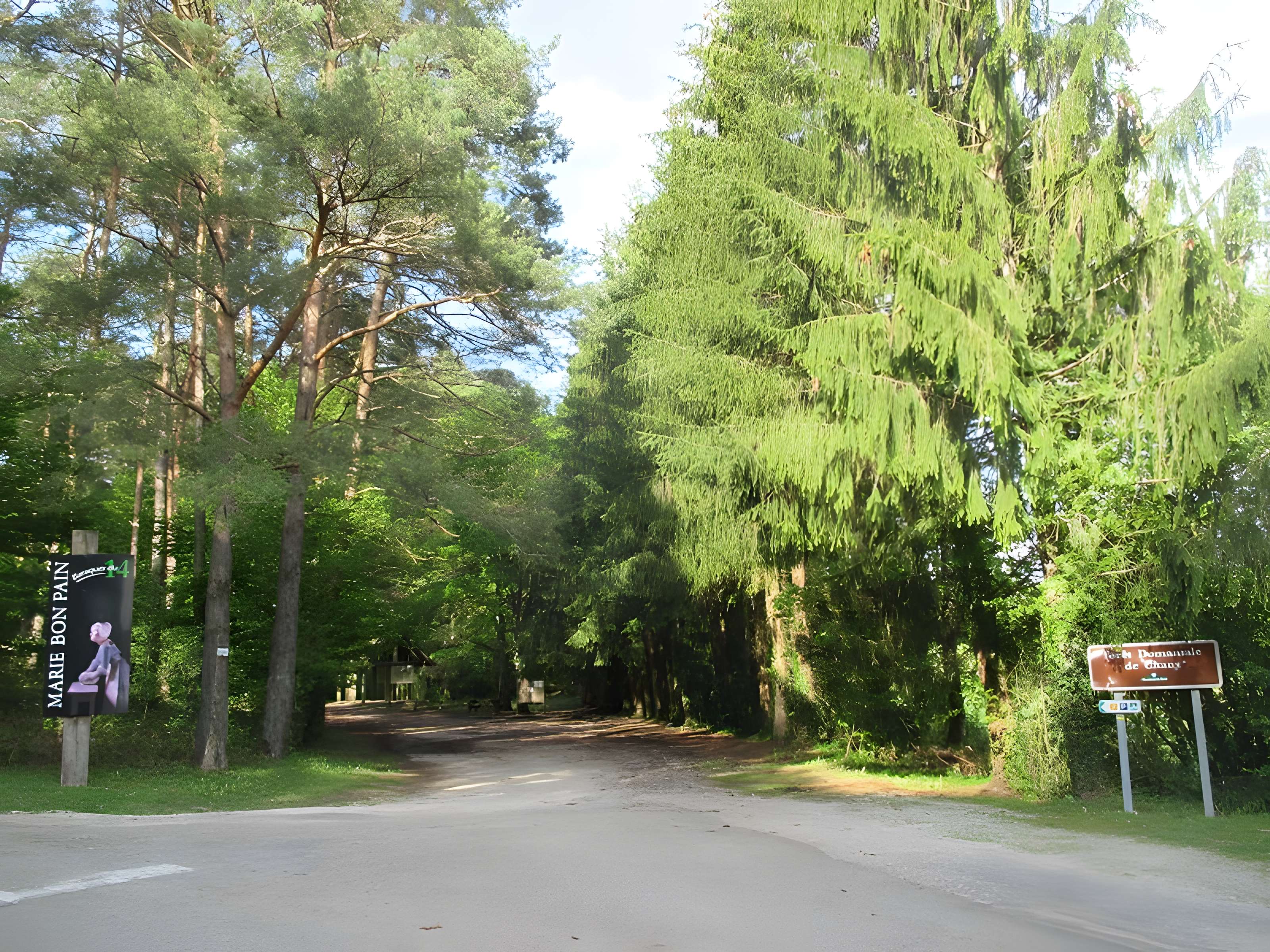 Baraques du quatorze de La Vieille-Loye