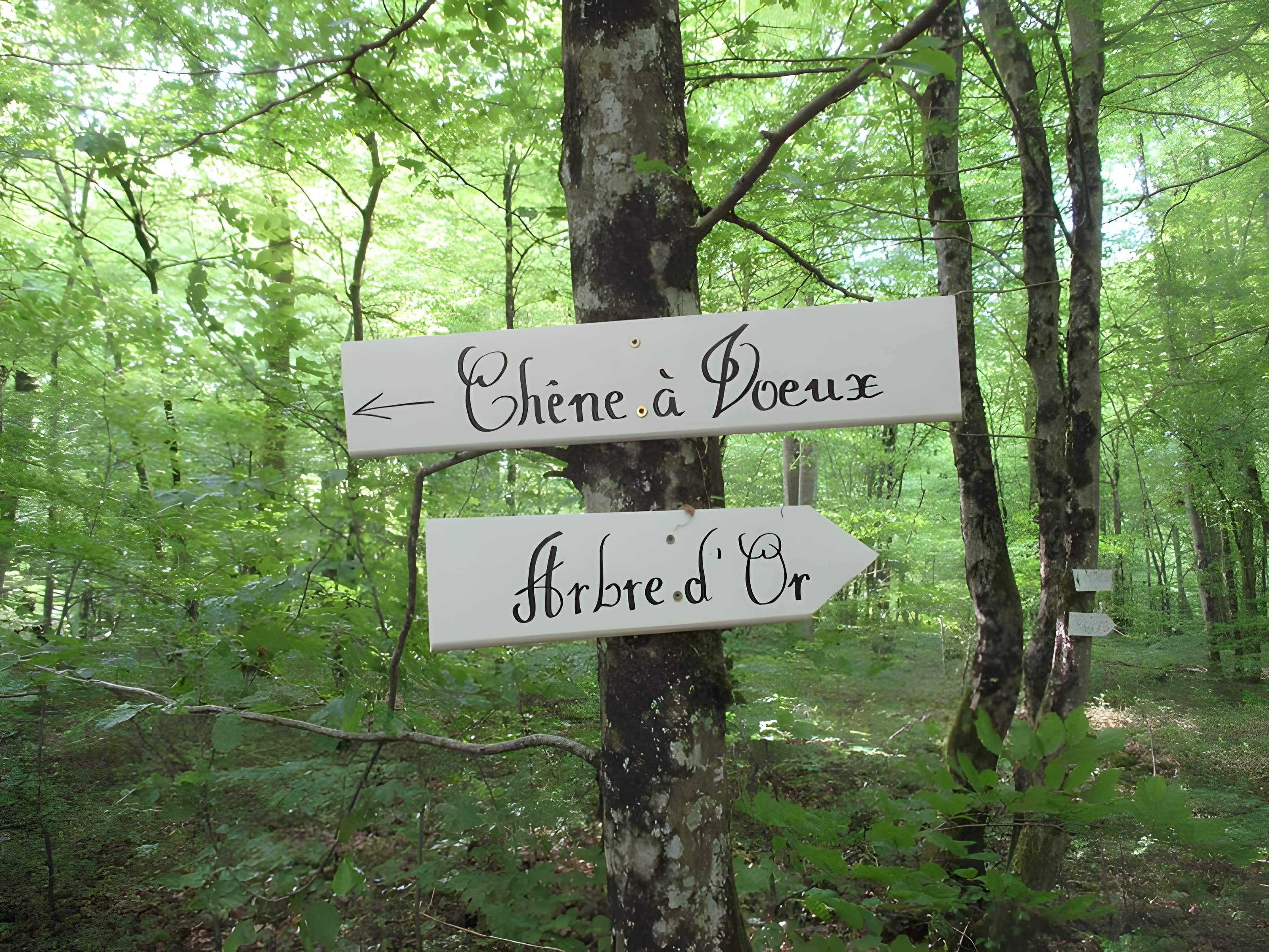 Baraques du quatorze de La Vieille-Loye