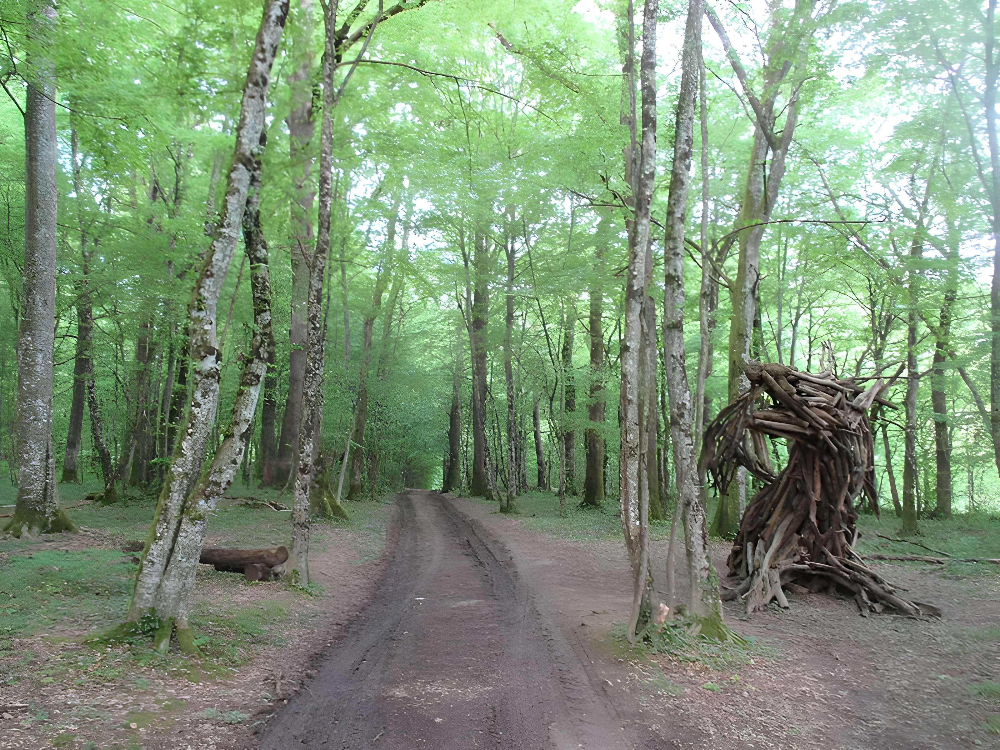 Baraques du quatorze de La Vieille-Loye