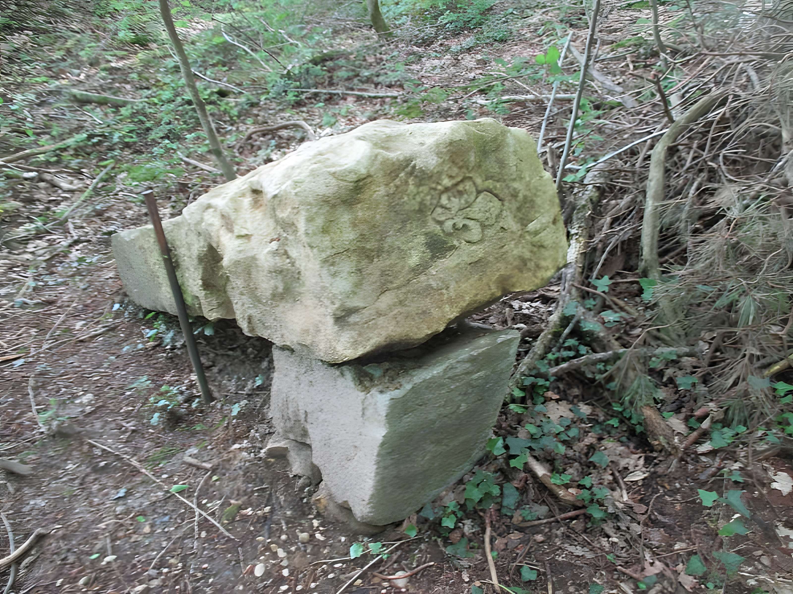 Baraques du quatorze de La Vieille-Loye