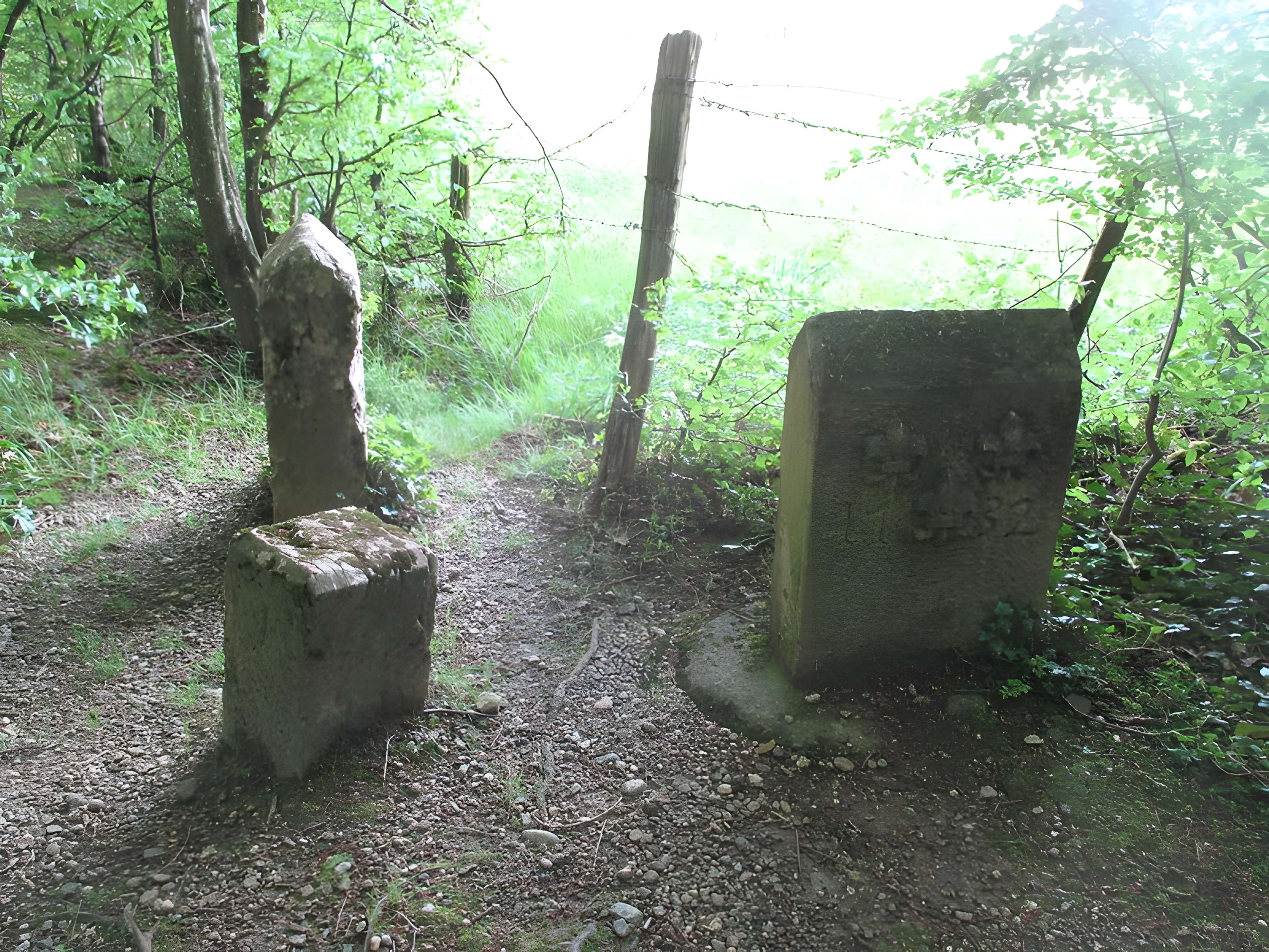 Baraques du quatorze de La Vieille-Loye