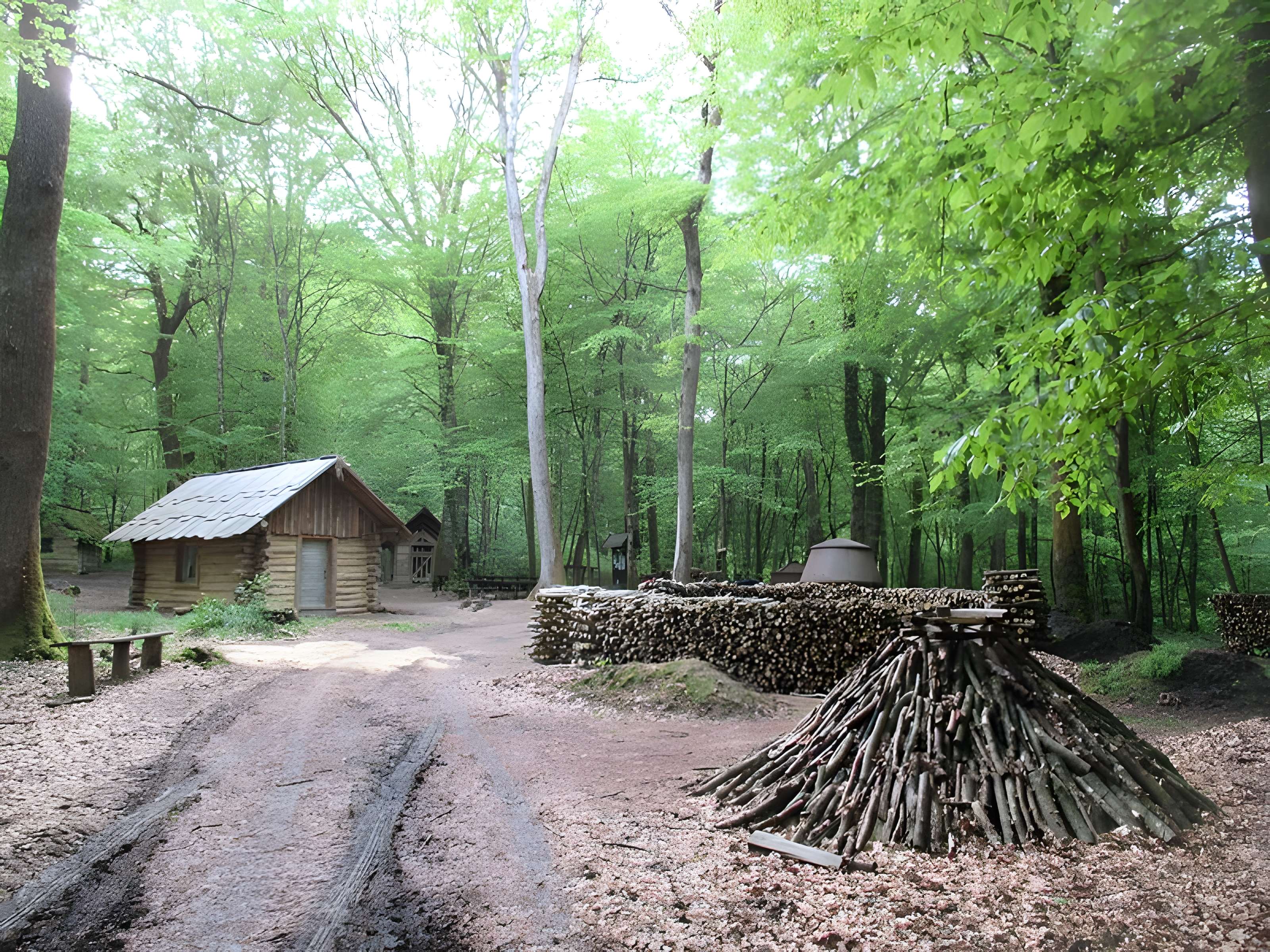 Baraques du quatorze de La Vieille-Loye