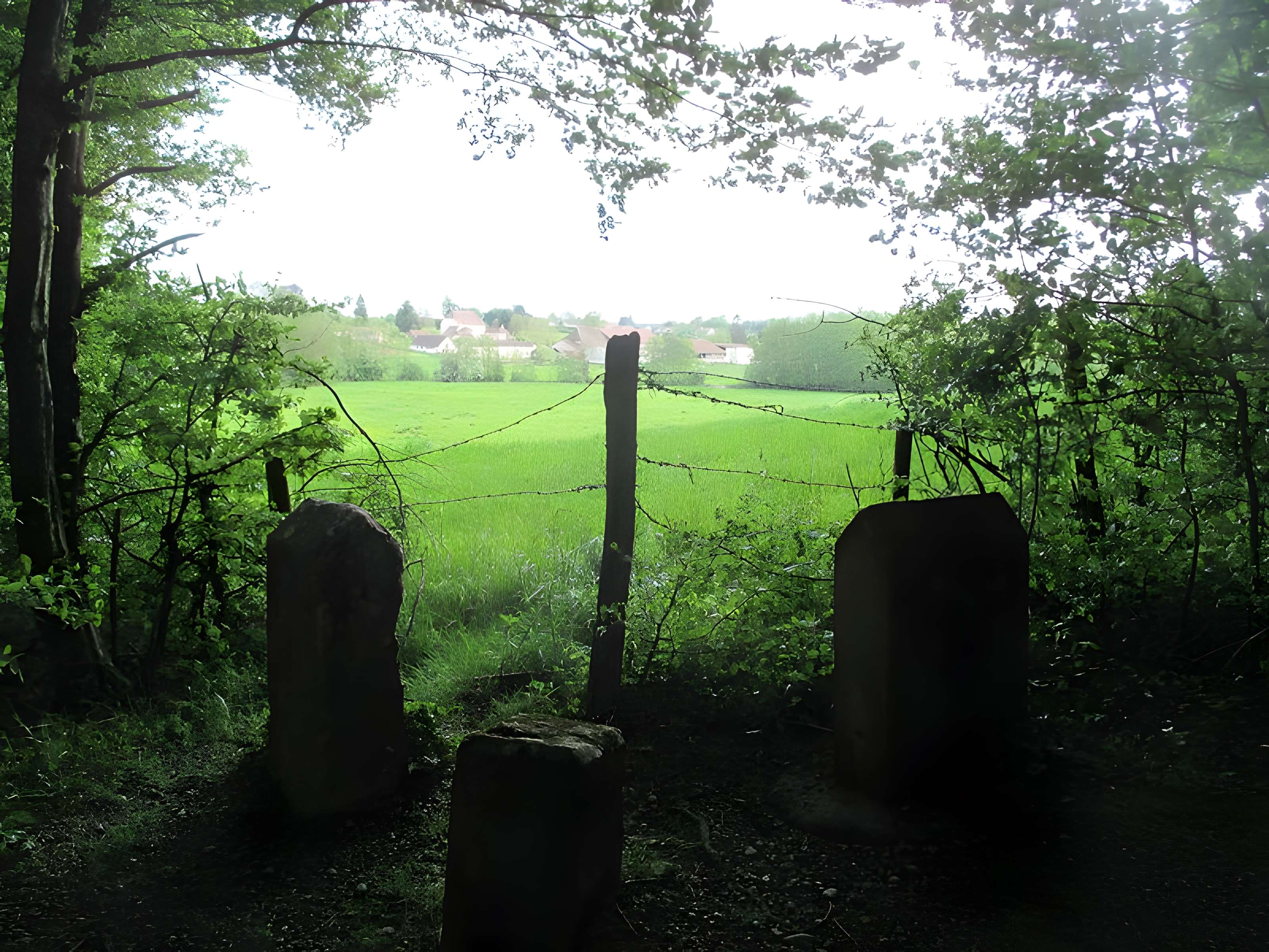 Baraques du quatorze de La Vieille-Loye