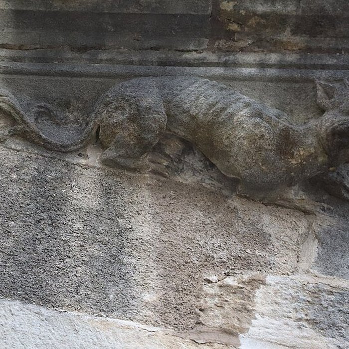 Photo de Basilique Notre-Dame de Gray