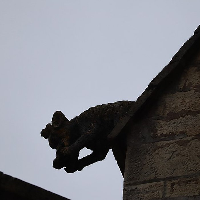 Photo de Basilique Notre-Dame de Gray
