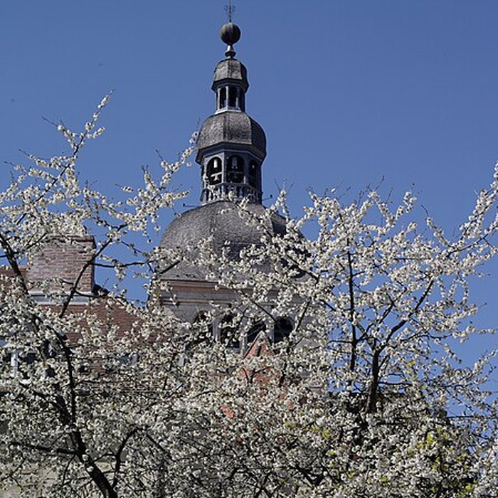 Photo de Basilique Notre-Dame de Gray