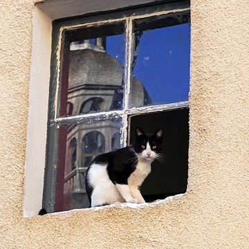 Basilique Notre-Dame de Gray