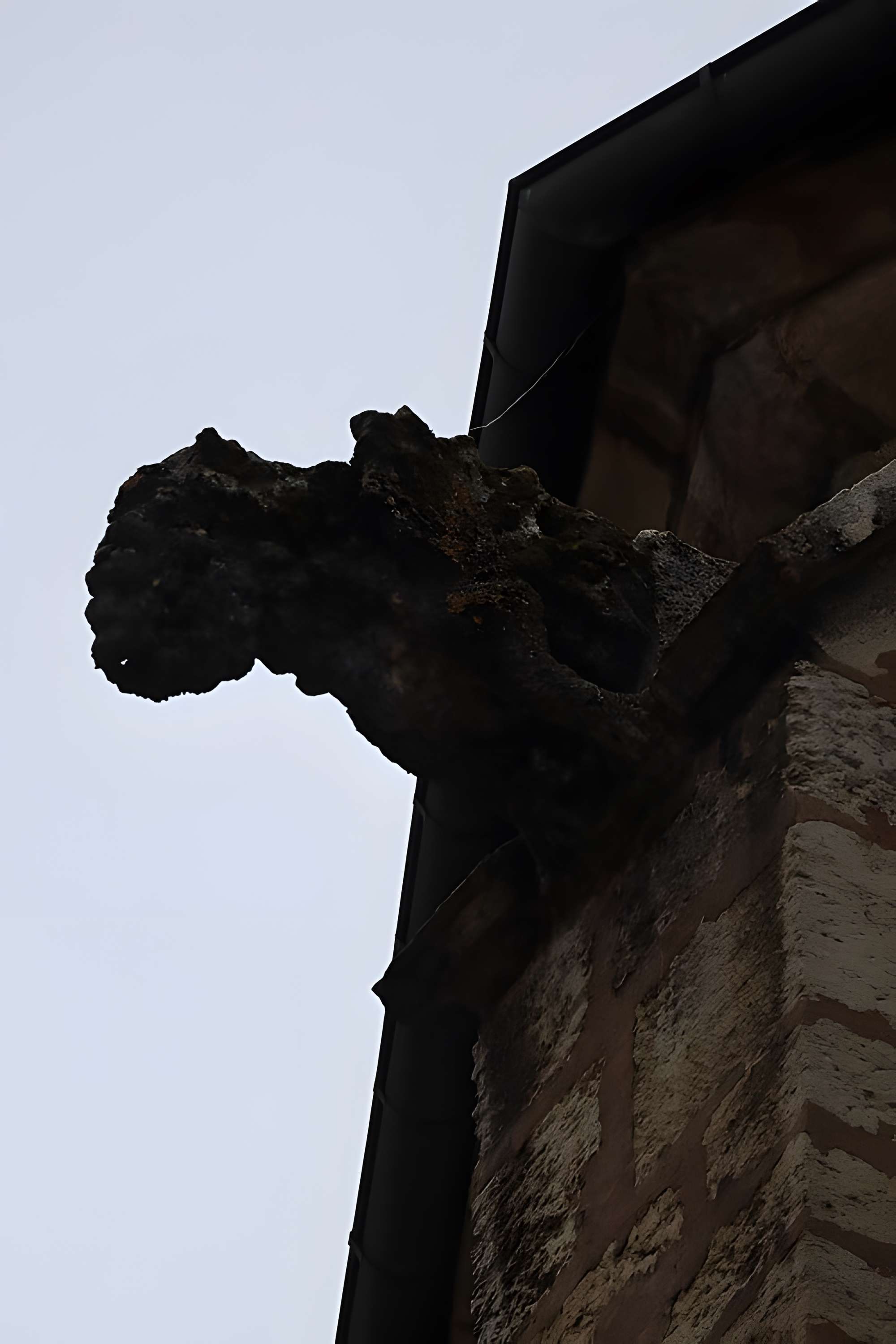 Basilique Notre-Dame de Gray