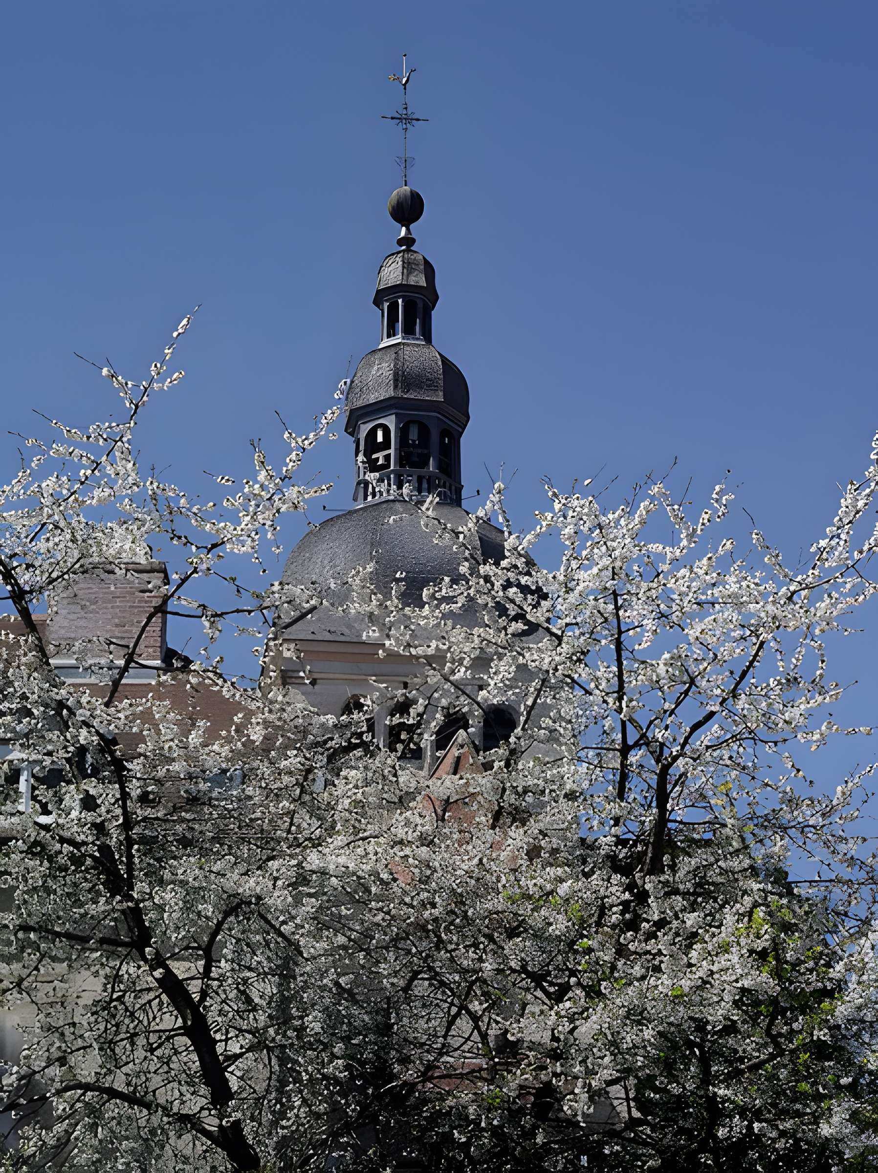 Basilique Notre-Dame de Gray