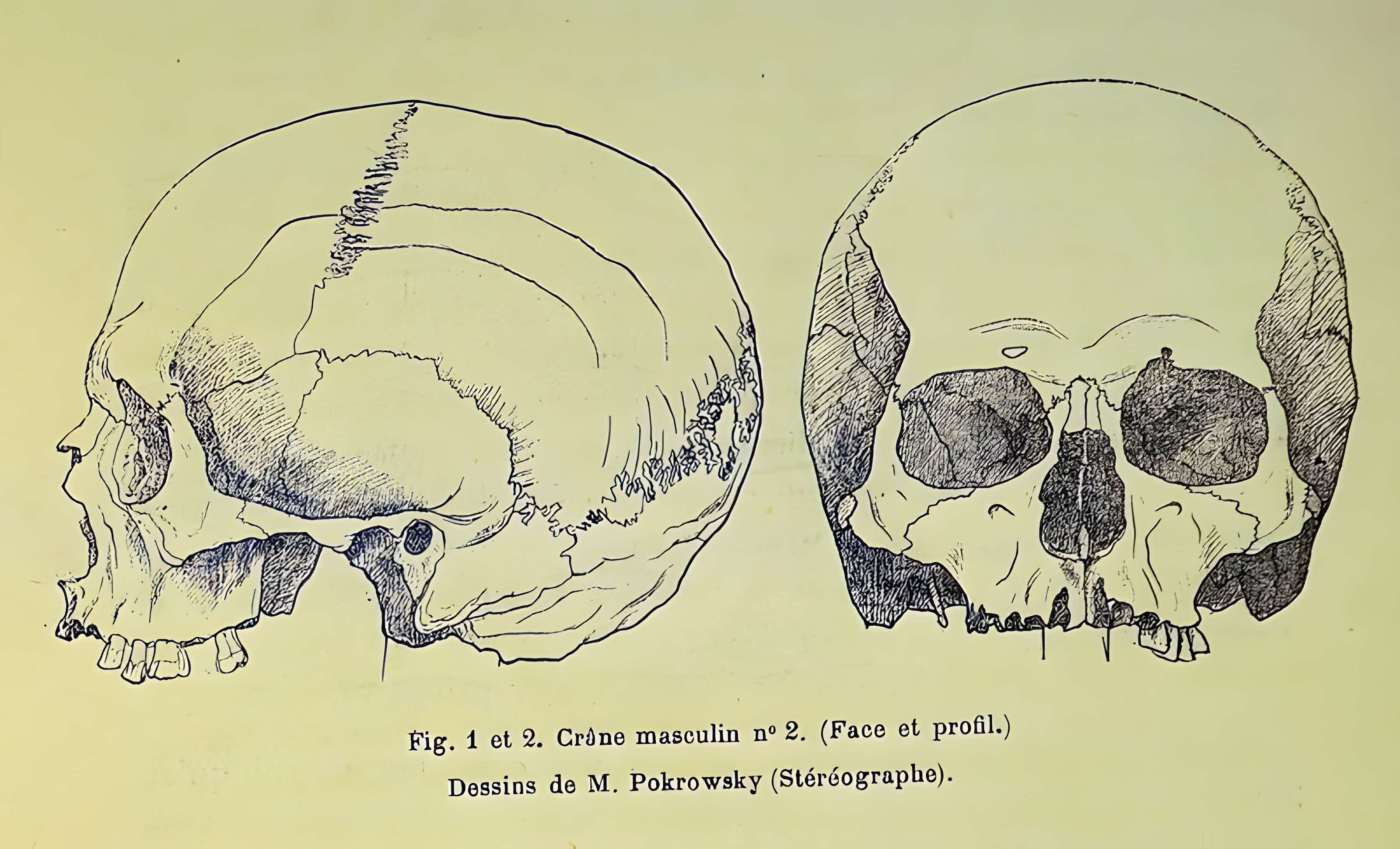 Bibliothèque Georges-Pompidou de Châlons-en-Champagne