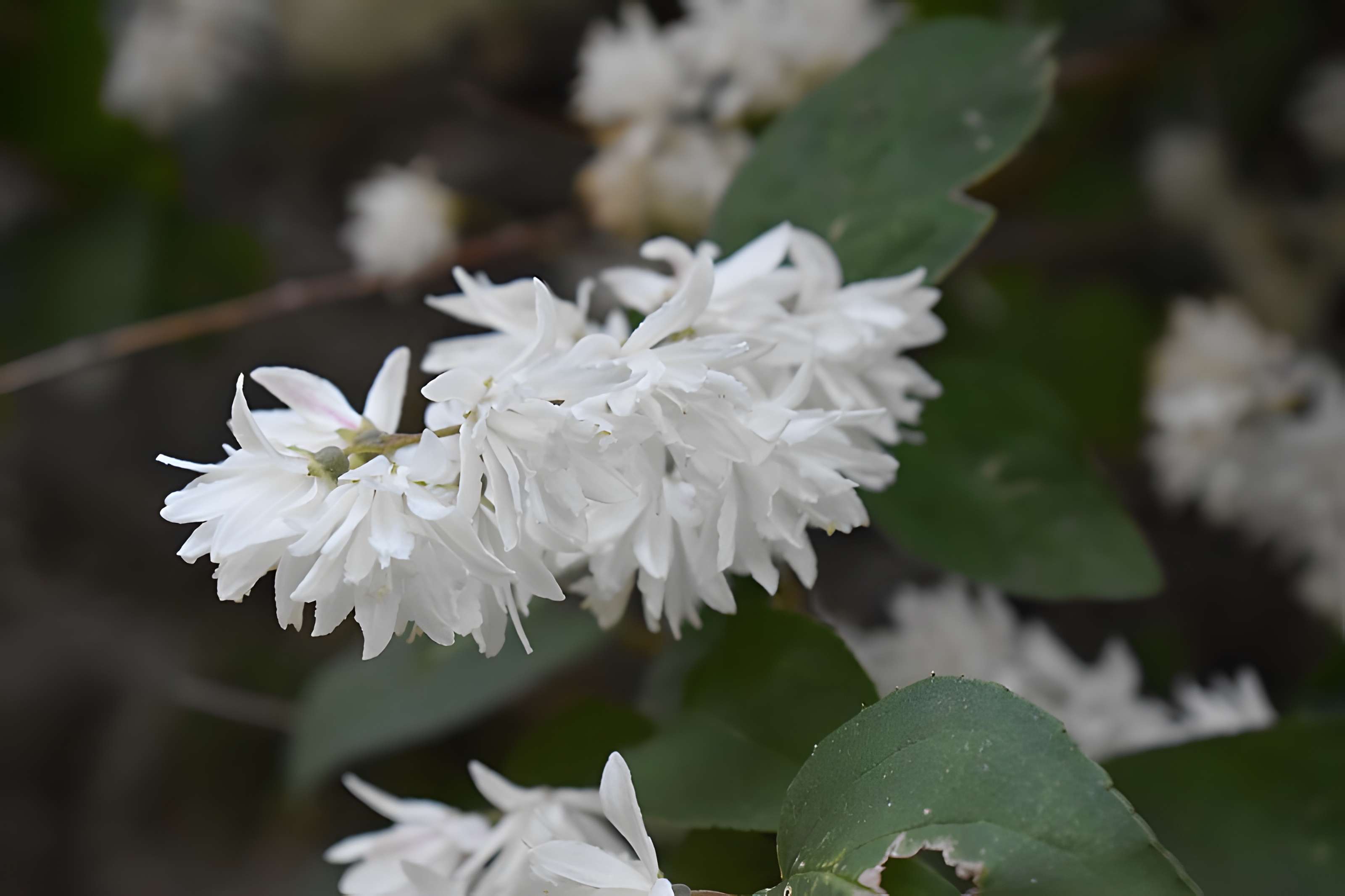 Commanderie de Sainte-Eulalie-de-Cernon