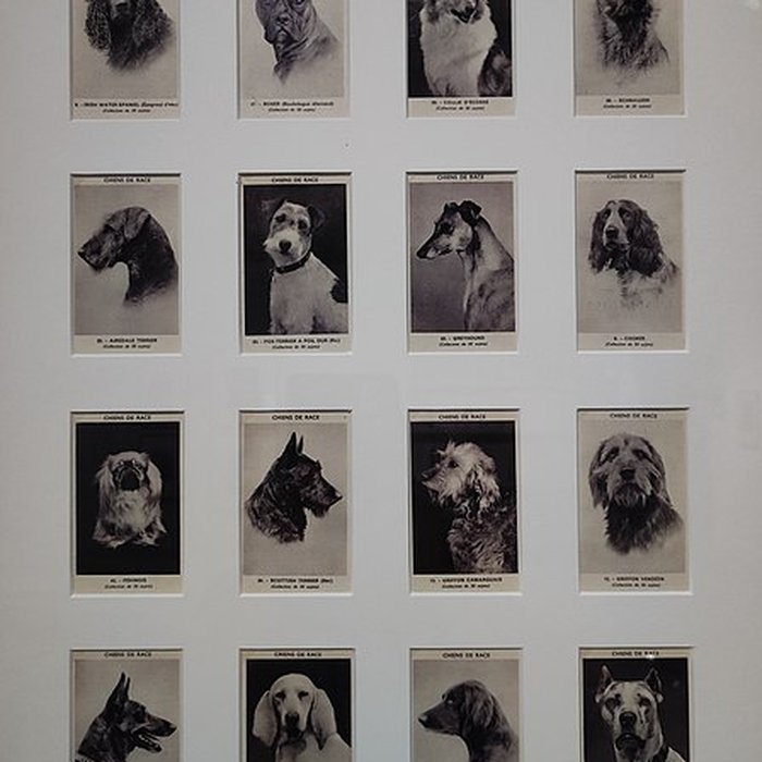 Photo de Bureau des coches et des diligences de Chalon-sur-Saône