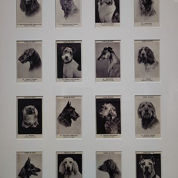 Bureau des coches et des diligences de Chalon-sur-Saône