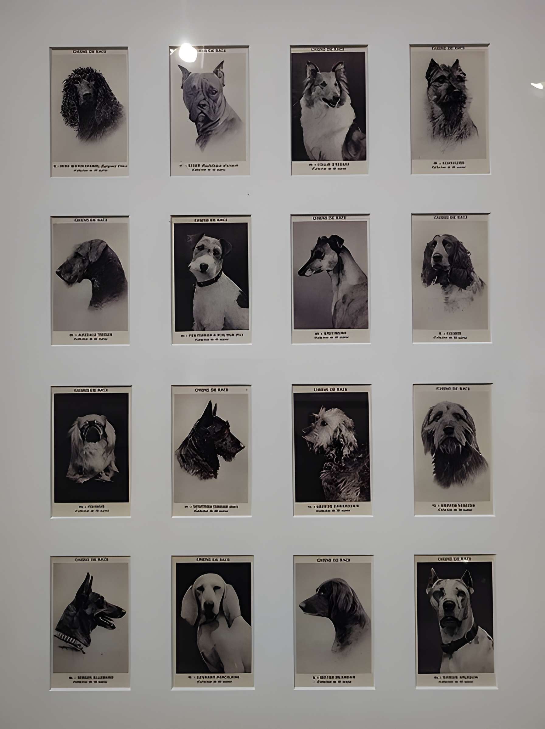 Bureau des coches et des diligences de Chalon-sur-Saône