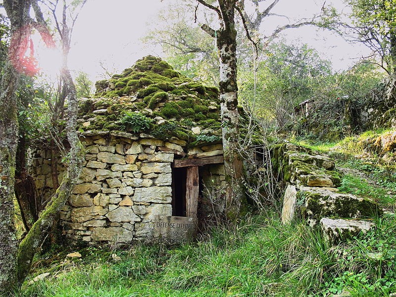 Photo de Caborde de Velotte à Besançon