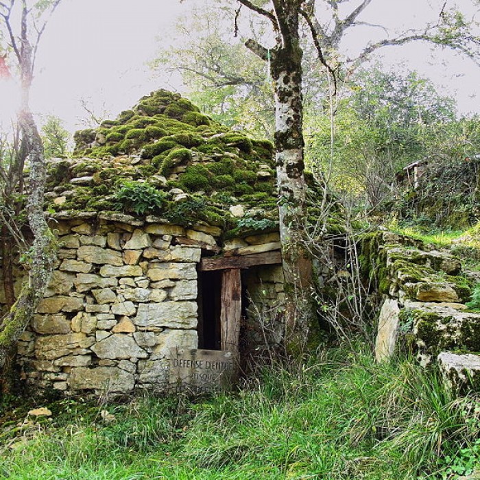 Photo de Caborde de Velotte à Besançon