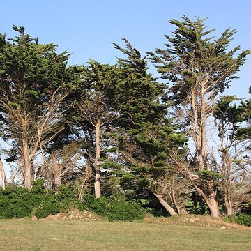 Calvaire et chapelle de Tronoën