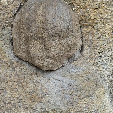 Calvaire et ossuaire du cimetière de Guéhenno